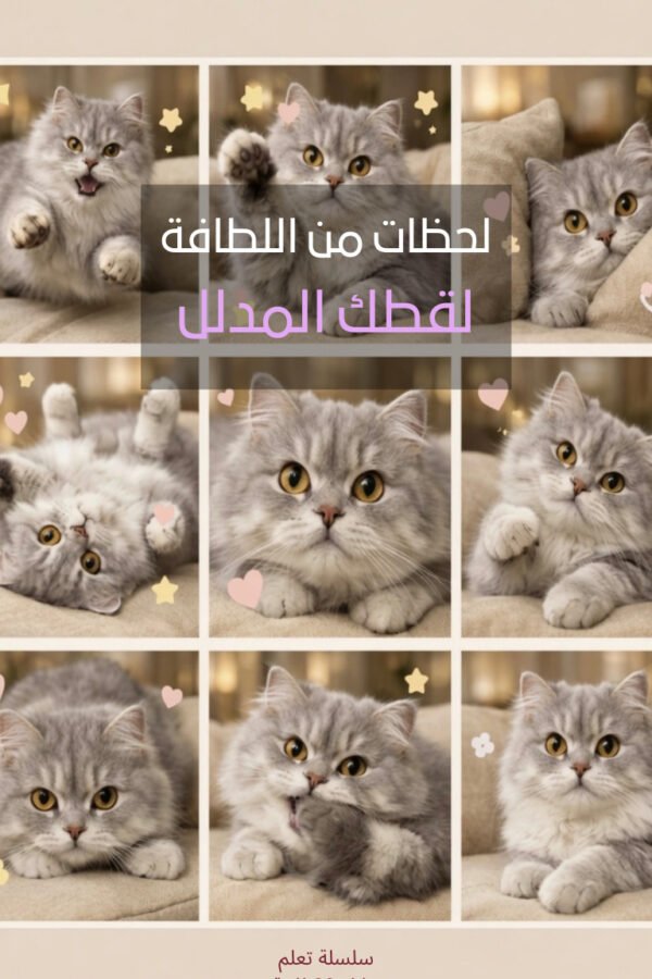 لحظات من اللطافة